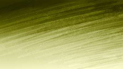 Painted Palm Sunday 07