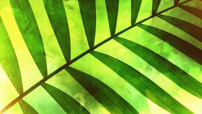 Palm Sunday 1