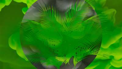 Palm Sunday Colormix 1