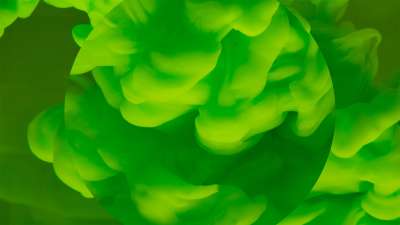 Palm Sunday Colormix 2