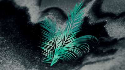 Palm Sunday Volume 5 Background 3