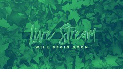 Peaceful Autumn Live Stream