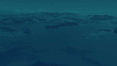 Peaceful Flight 6 Tint