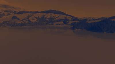 Peaceful Flight 7 Tint