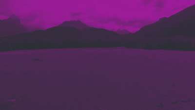 Peaceful Flight 8 Tint