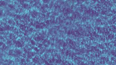 Pictured Rocks 3 Tint