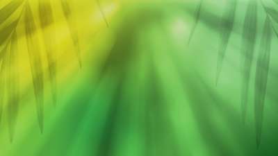 Radiant Blur Palm Sunday 03