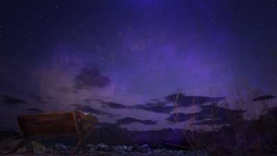 Songs Of The Savior: Manger