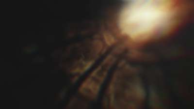 Soaring Glass Rays Alt