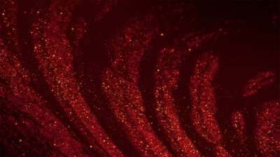 Sparkling Christmas 8