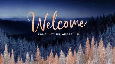 Sparkling Trees Christmas Welcome