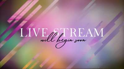 Spring Journey Live Stream