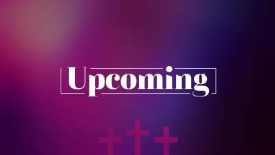 Vibrant Crosses Upcoming