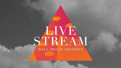 Vibrant Nature Live Stream