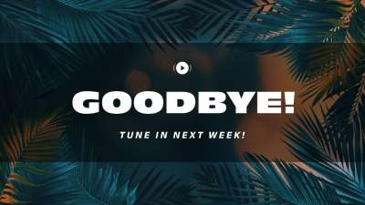 Vibrant Palms Exit Stream