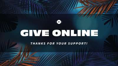 Vibrant Palms Give Stream