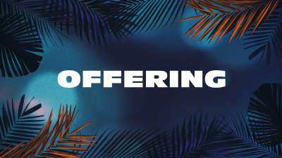 Vibrant Palms Offering