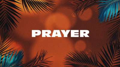 Vibrant Palms Prayer