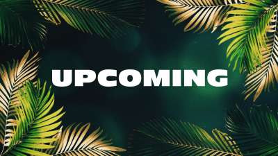 Vibrant Palms Upcoming