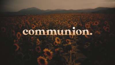 Vintage Sunflowers Communion