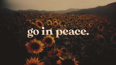 Vintage Sunflowers Exit