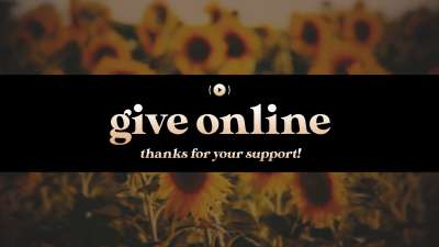 Vintage Sunflowers Give Stream