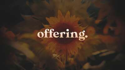 Vintage Sunflowers Offering