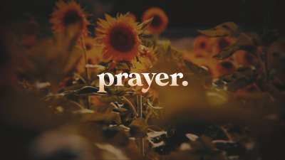 Vintage Sunflowers Prayer