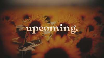 Vintage Sunflowers Upcoming