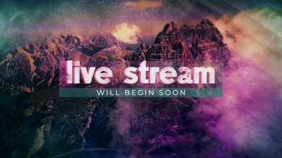 Vivid Nature Live Stream