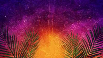 Vivid Palm Sunday 04