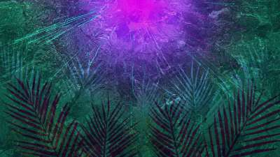 Vivid Palm Sunday 08