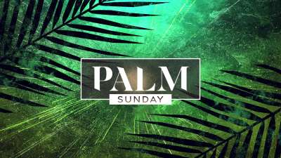 Vivid Palm Sunday Palm Sunday 01