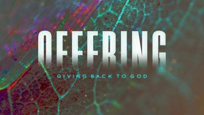 Autumn In Color Offering