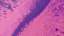 Abstract Liquid 03