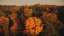 Autumn Foliage 10