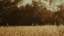Autumn Meadow 10