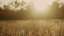 Autumn Meadow 12
