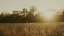 Autumn Meadow 13