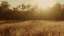 Autumn Meadow 15