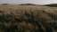 Golden Pastures 01