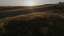 Golden Pastures 11