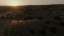 Golden Pastures 13