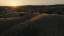 Golden Pastures 14