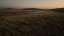 Golden Pastures 18