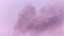 Let The Incense Rise 11