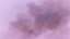 Let the Incense Rise 12