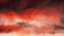 Pentecost Blaze 2