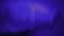 Presence 02