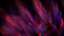 Refraction 8